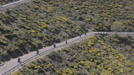 Drohnenaufnahmen-Einer-Bergstraße,-Auf-Der-Wir-Eine-Gruppe-Von-Bikern-Sehen,-Die-Nacheinander-Bergab-Fahren.-Wir-Sehen,-Dass-Die-Umgebung-Voller-Hoher-Gelber-Bergpflanzen-In-Der-Sierra-De-Gredos,-Spanien-Ist