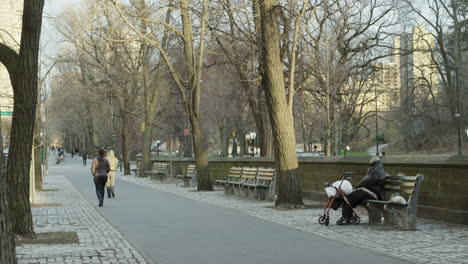 Parque-Central-De-La-Ciudad-De-Nueva-York-Con-Una-Persona-Sentada-En-Un-Banco-Del-Parque-En-Un-Frío-Día-De-Invierno