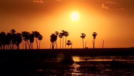 Sonnenuntergang-über-Dem-Ibera-Sümpfe-Nationalpark