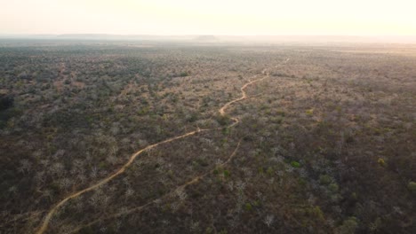 Luftaufnahme-Einer-Langen-Unbefestigten-Straße-Durch-Einen-Halbtrockenen-Wald-In-Der-Gegend-Von-Shivpuri-In-Madhya-Pradesh,-Indien