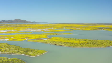 Imágenes-Aéreas-De-Un-Río-Que-Fluye-A-Través-De-Un-Lago-De-Soda-Carrizo-Plain-California