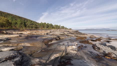 The-low-tide-exposed-the-rocky-shore-with-a-sandy-beach-covered-with-kelp-and-seaweed