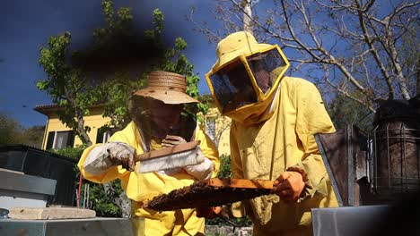 Una-Pareja-De-Apicultores-De-Edad-Avanzada-Trabajando-En-Una-Granja-De-Abejas,-En-El-Centro-De-Italia