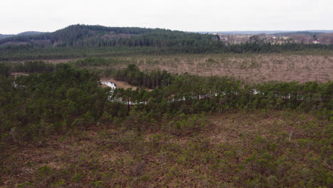 Meandering-Stream-in-Rural-Marshland,-Boreal-Forest-Landscape,-Aerial-View