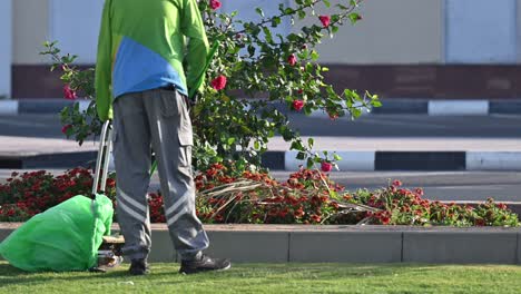 Un-Trabajador-Municipal-Barre-Diligentemente-Botellas-De-Plástico-Y-Tierra-Derramada-En-El-Jardín