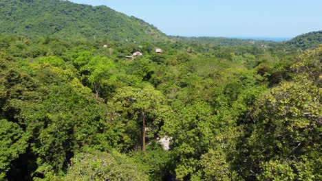 Aerial-Flying-Towards-Dense-Tropical-Rainforest-Jungle-In-Santa-Marta,-Colombia