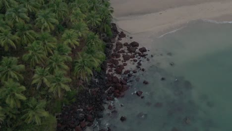 Drohnenansicht-Aus-Der-Luft-Viele-Kokosnussbäume-Sind-Am-Strand-Sichtbar