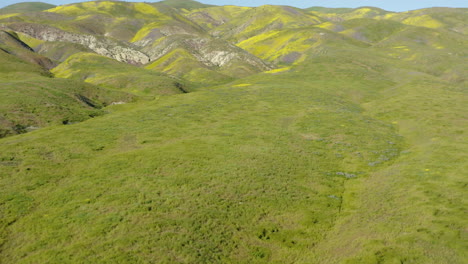 Wildflower-Landscape-of-Carrizo-Plains-Aerial-Drone-Panoramic-fly-grassland-foothills,-historic-site-of-California-USA