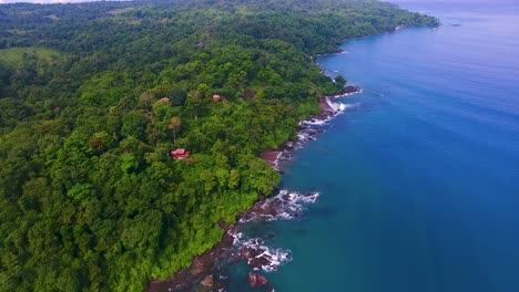 Vista-Aérea-Mirando-Hacia-Abajo-Sobre-El-Rico-Agua-Azul-Del-Océano-Pacífico-A-Lo-Largo-De-Un-Exuberante-Bosque-Verde-De-árboles-En-La-Península-De-Osa-En-Costa-Rice-Cerca-De-Drake-Bay