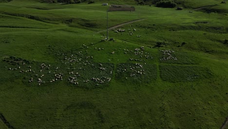 Beautiful-landscape-natural-green-hill