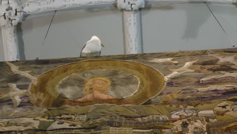 Seagull-in-church-hall-turning-around