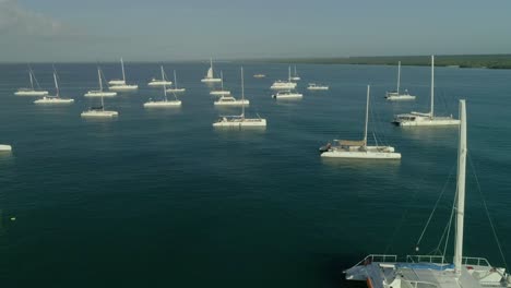 Luftaufnahme-Von-Katamaranen,-Die-In-Der-Bucht-Von-Bayahibe-Vor-Anker-Liegen