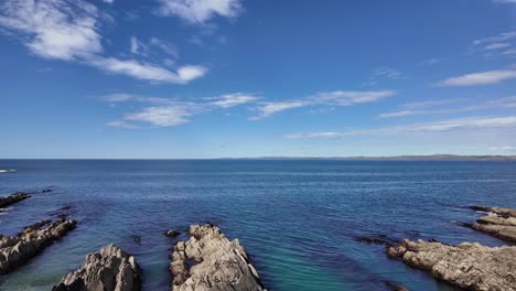 In-Spring-with-sun-on-a-blue-sky,-wild-flowers-at-the-edge-of-a-rugged-coastal-line-in-West-Cork,-Galley-Head-peninsula,-Ireland