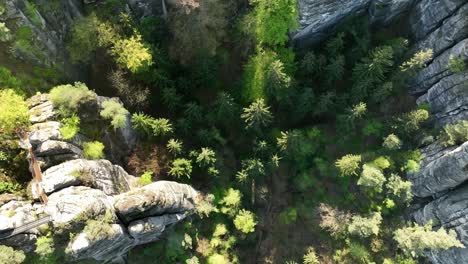 La-Formación-Rocosa-Del-Macizo-Del-Elba-Revela-El-Puente-Bastei-Cerca-De-Rathen-En-La-Suiza-Sajona,-Alemania