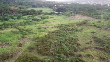 Drone-moving-over-bush-and-above-abandon-building-on-the-bluff-durban-south-africa