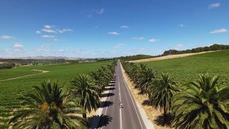 A-couple-walking-down-a-long-straight-road-in-Barossa-Valley,-South-Australia