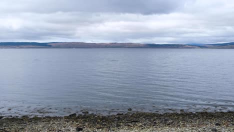 Standing-on-the-shoreline-watching-a-pod-of-dolphins-swimming-in-the-shallows-on-the-Isle-of-Arran,-Western-Scotland-UK