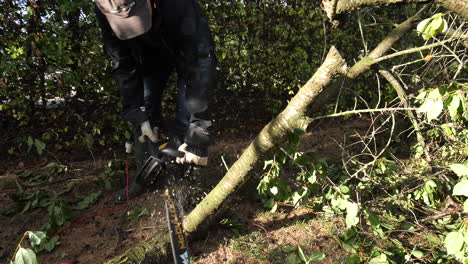 Static-shot,-of-a-man-using-a-chainsaw,-to-cut-a-tree-to-pieces,-in-Aalborg,-Denmark