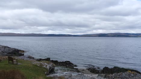 Watching-a-pod-of-dolphins-from-the-shoreline-swimming-and-playing-off-the-Isle-of-Arran,-Western-Scotland-UK