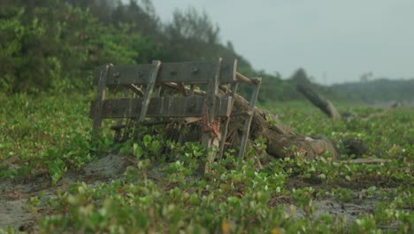 Old-wooden-cart-abandoned-in-a-lush-field,-evoking-a-sense-of-rural-solitude-and-nostalgia,-cloudy-skies