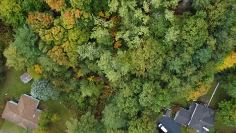 Overhead-shot-on-tress-and-houses-in-the-fall