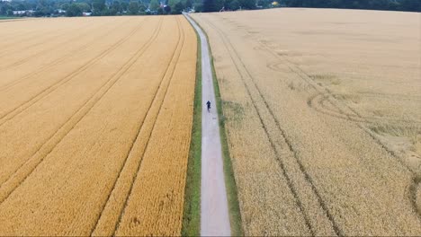Luftaufnahme-Einer-Drohne,-Die-Bei-Sonnenuntergang-In-Einem-Getreidefeld-In-Der-Nähe-Des-Waldes-In-Deutschland-Auf-Einer-Weizenwiese-Fahrrad-Fährt