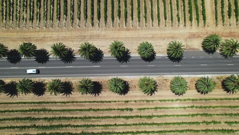An-ariel-drone-view-of-a-camper-van-driving-along-a-straight-road-surrounded-by-vineyards