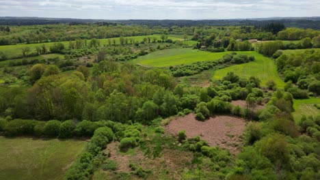 Ländliche-Landschaft-Und-Oradour-Wald-In-Der-Französischen-Landschaft