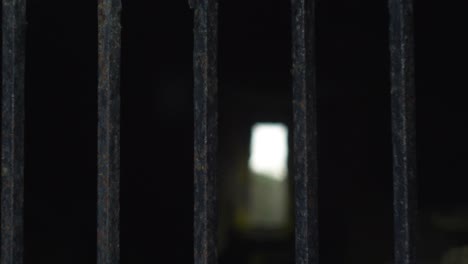 Old-Mellifont-Abbey-in-Tullyallen,-Drogheda,-Ireland-viewed-through-rusty-bars,-shot-on-a-Helios-44m-4-vintage-lens