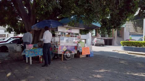 Coche-De-Frutas-Vendiendo-Comida-En-La-Calle.