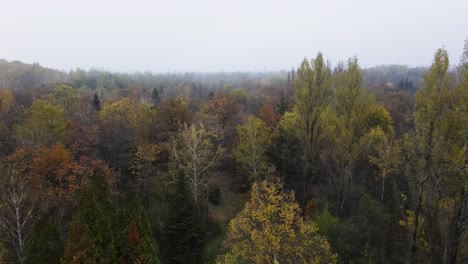 Capturing-splendor-of-the-Arboretum-in-Kecskemet,-Hungary