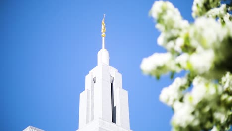 A-slow-panning-shot-revealing-the-Draper-temple-behind-a-tree-during-the-Springtime