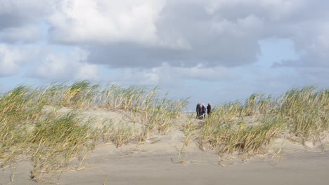 Gruppe-älterer-Urlauber-An-Einem-Stürmischen-Strand