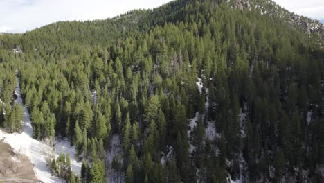 Vista-Aérea-Del-Bosque-De-Pinos-En-El-Monte-Timpanogos-En-American-Fork-Canyon,-Utah