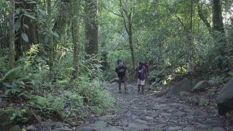 Gruppe-Von-Menschen-Zu-Fuß-Im-Wald