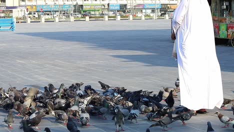 Un-Hombre-Dando-Comida-A-Las-Palomas-En-Souq-Waqif-En-Doha,-Qatar