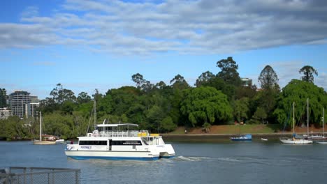 River-ferry-sailing-along-the-Brisbane-River,-in-front-of-the-city-Botanic-Gardens