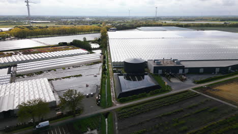 Industrial-complex-of-greenhouses,-buildings-and-green-energy-generating-objects-in-Belgium,-aerial-drone-view