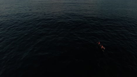 Top-aerial-couple-canoeing-in-Cuba-waters,-arc-curve