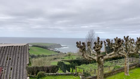 A-charmingly-decorated-garden-embellishes-Porto-Formoso,-a-delightful-civil-parish-nestled-in-the-municipality-of-Ribeira-Grande,-located-in-the-scenic-Portuguese-archipelago-of-the-Azores