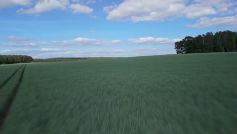 Aerial-view-of-a-green-field-with-blue-sky-and-white-clouds