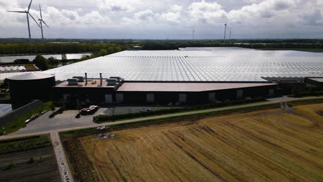 Industrial-greenhouses-and-wind-turbines-in-background,-aerial-drone-view