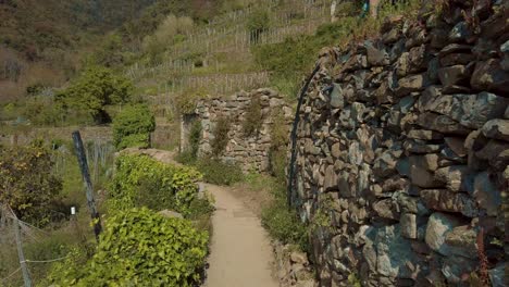 Cinque-Terre-Corniglia-Vineyard-Trail-with-Clouds-Over-Green-Hills