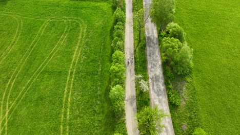 Aerial-view-of-a-rural-road-with-two-bikers-riding-along-it,-surrounded-by-lush-green-fields-and-trees