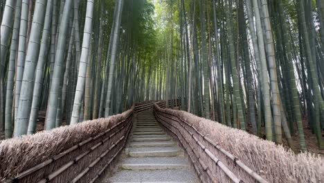 Escaleras-A-Través-Del-Bosque-De-Bambú-En-El-Templo-Adashino-Nenbutsu-ji-En-Kioto,-Japón