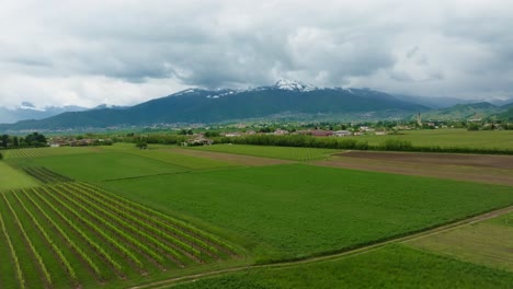4k-Drone-Shot-of-Tuscan-vineyards-along-the-paths-of-the-countryside