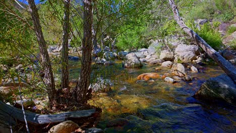 Das-Goldene-Wasser-Des-Sabino-Creek-Schlängelt-Sich-Durch-Eine-Mit-Felsbrocken-übersäte-Landschaft-Im-Sabino-Canyon,-Arizona