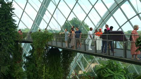 Panning-view-capturing-people-strolling-on-the-aerial-walkway,-immersed-in-the-magical-environment-of-Cloud-Forest-greenhouse-conservatory,-indoor-greenery-at-Gardens-by-the-bay,-Singapore