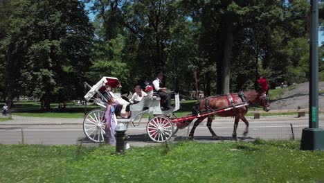 Pferdekutsche-Im-Central-Park