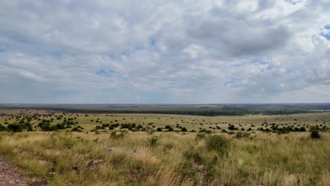 Wild-savanna-landscape-savannah-african-wild-nature-with-acacia-trees-grass-sand